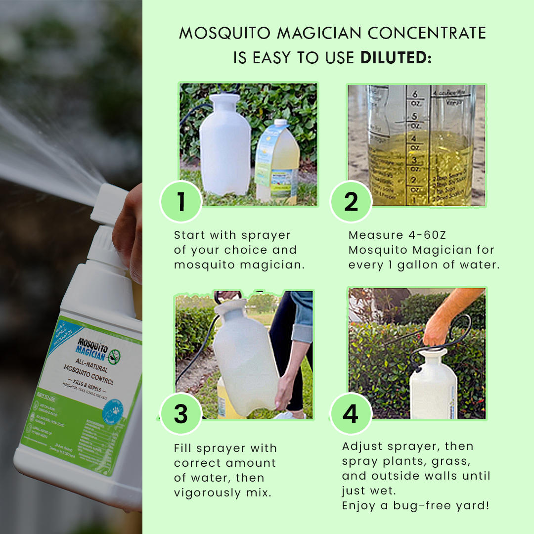 Pump Up Sprayer + 1 Gallon Mosquito Killer &amp; Repellent Combo