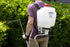 Pump Up Backpack Sprayer + 1 Gallon Mosquito Killer & Repellent Combo